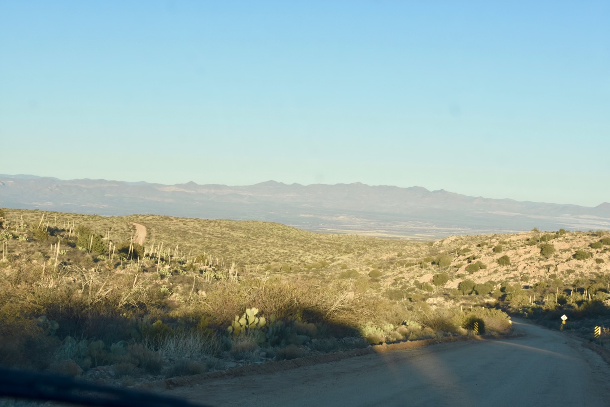 Pima in the valley